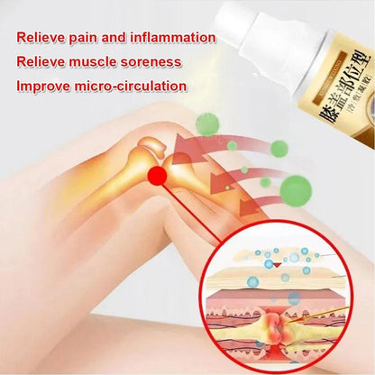 Knee Pain Relief Cold Spray - dunexemporium online store