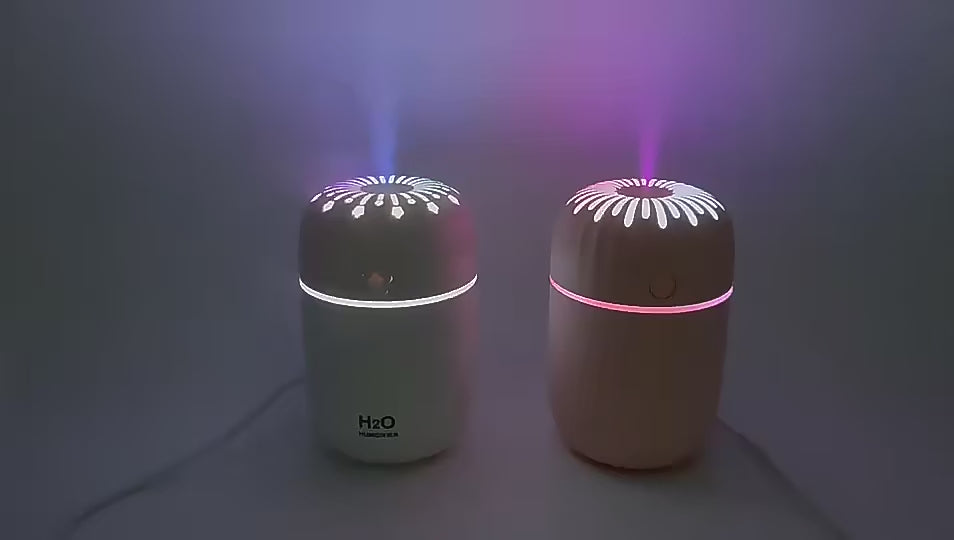 3-in-1 Humidifier - dunexemporium online store